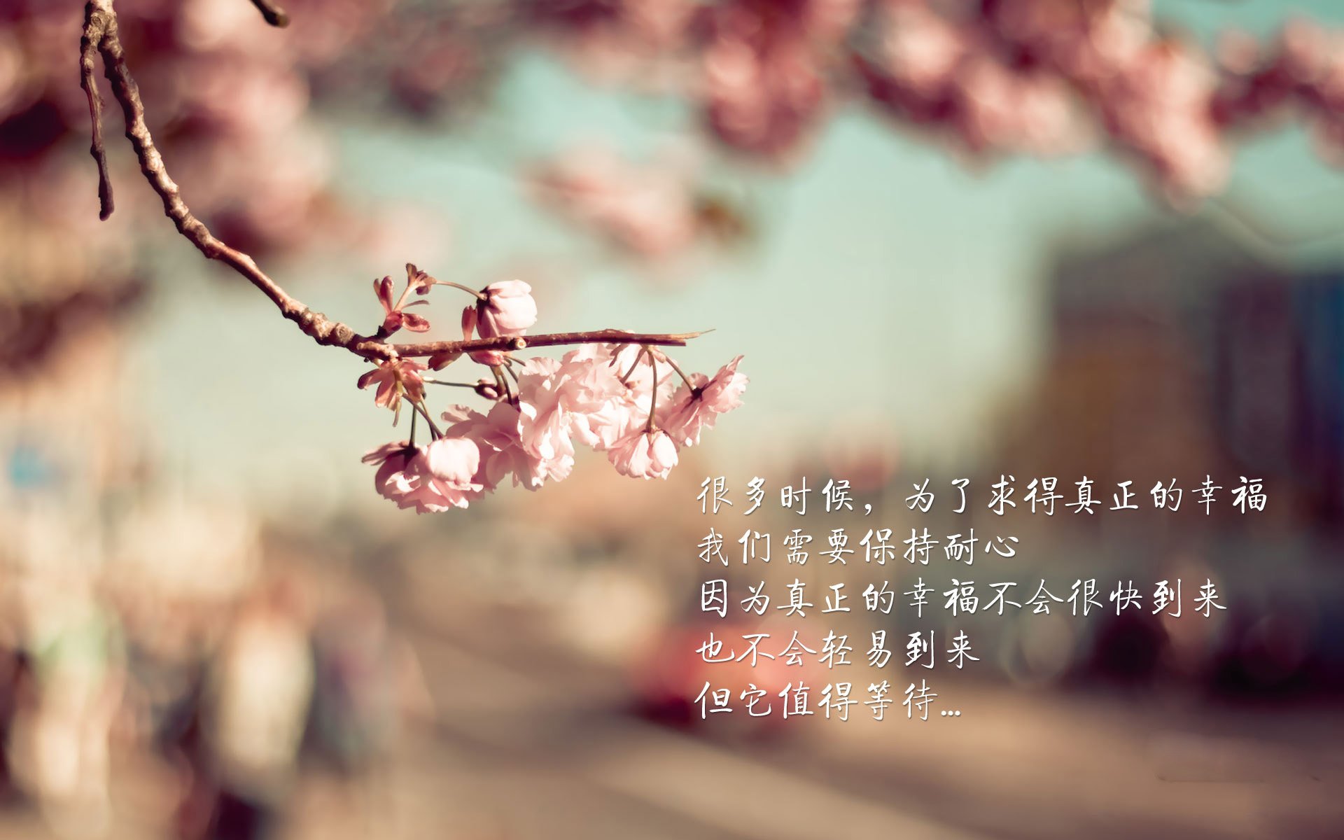 世界帆船比赛：极端天气影响赛程安排，帆船国际比赛
